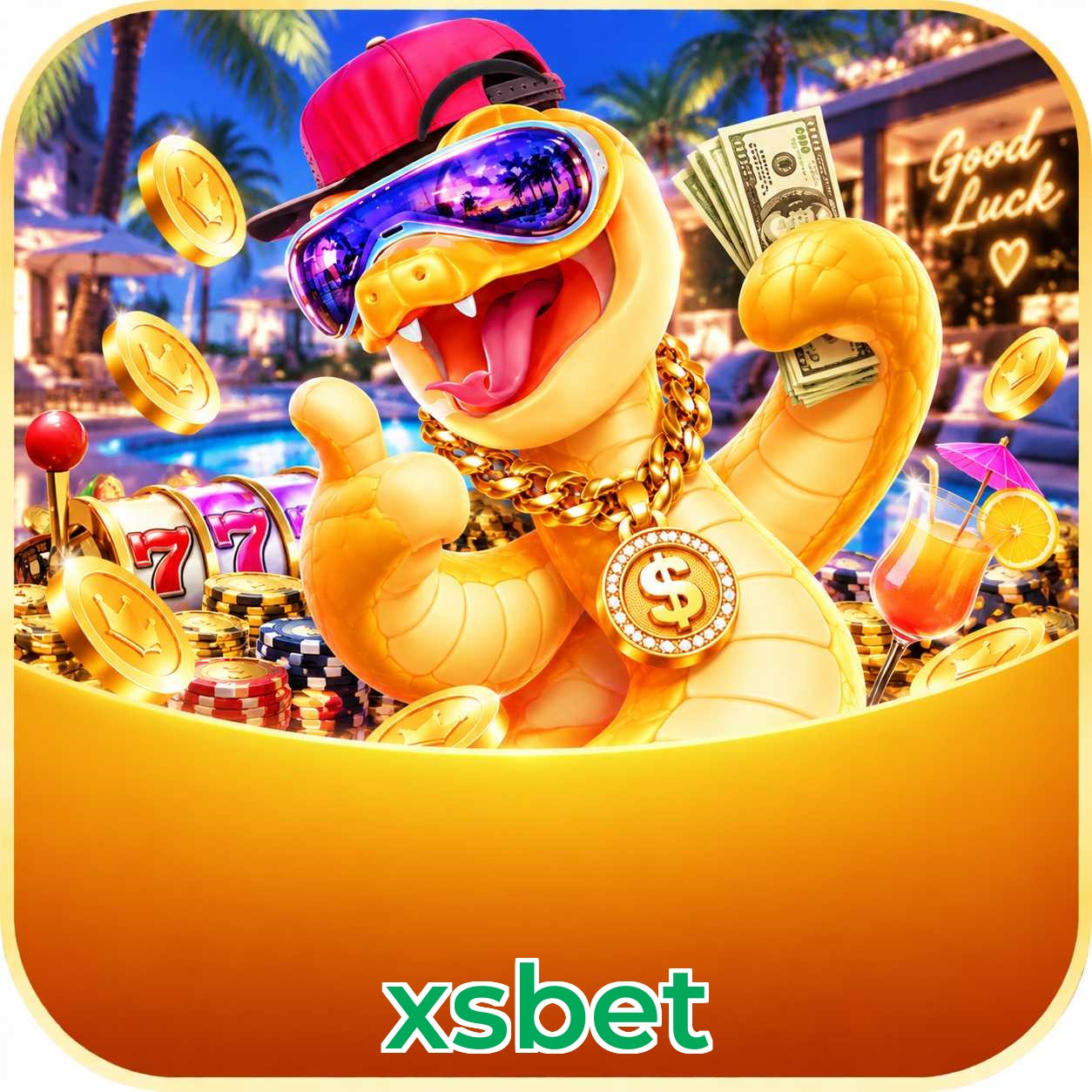 xsbet Plataforma FAQ